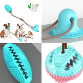 BounceBuddy™|The Ultimate Pet Toy! Unleash Joyful Moments with BounceBuddy™