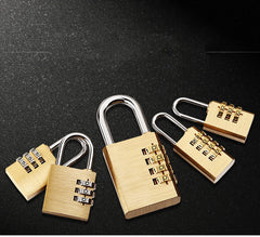 Gym Door Padlock