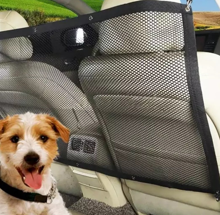Car isolation for pets and children
